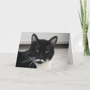 Humor Tuxedo Cat Birthday Card (sjabloon) Kaart