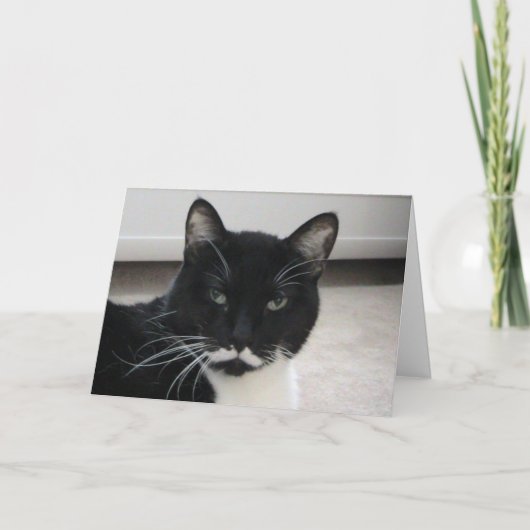 Humor Tuxedo Cat Birthday Card (sjabloon) Kaart (Voorkant)