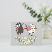 humor van EWE zwarte schapen plukken Briefkaart (Staand voorkant)