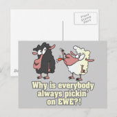 humor van EWE zwarte schapen plukken Briefkaart (Voorkant / Achterkant)