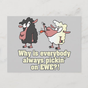 humor van EWE zwarte schapen plukken Briefkaart