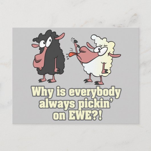 humor van EWE zwarte schapen plukken Briefkaart (Voorkant)