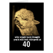 humor van grappige dieren Alaca foto aangepast op  (Voorkant)