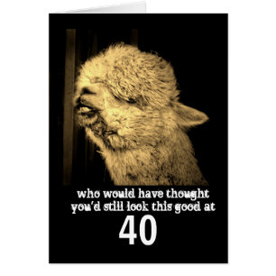 humor van grappige dieren Alaca foto aangepast op 