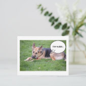 Humor van herder briefkaart (Staand voorkant)