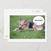 Humor van herder briefkaart (Voorkant / Achterkant)