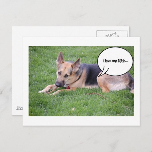 Humor van herder briefkaart (Voorkant / Achterkant)