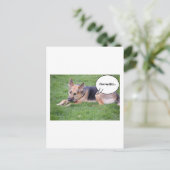 Humor van herder briefkaart (Staand voorkant)