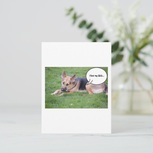 Humor van herder briefkaart (Staand voorkant)