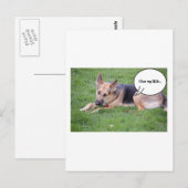 Humor van herder briefkaart (Voorkant / Achterkant)