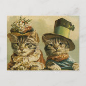 Humor, Victoriaans Bride Groom Katten in Petten Briefkaart (Voorkant)