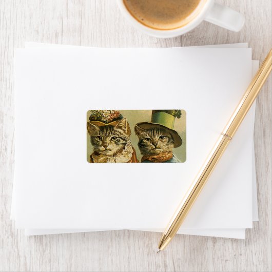  Humor, Victoriaans Bride Groom Katten in Petten Etiket (Insitu)