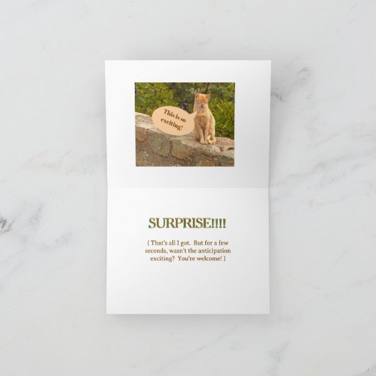 Humor/Vriendschap/VERRASSING! (GEEN VERRASSING) Kaart (Binnen)
