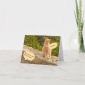 Humor/Vriendschap/VERRASSING! (GEEN VERRASSING) Kaart (Voorkant)