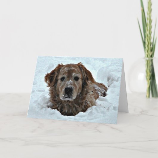 Humor winterdag met Cute Dog Kaart (Voorkant)