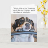 Humorische Kaart op de geboorte - Dog Pondering Li (Gele Bloem)