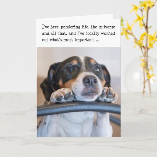 Humorische Kaart op de geboorte - Dog Pondering Li (Gele Bloem)