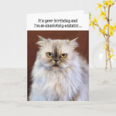 Humorische Kaart op de verjaardag van het ecstatis (Gele Bloem)