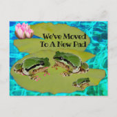 Humorische kikkers Lilies Pad We verhuisden de aan Briefkaart (Voorkant)