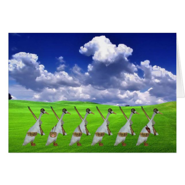 Humorische runnereend (Voorkant Horizontaal)