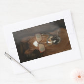 Humorische Stickers voor het roken van paarden (Envelop)