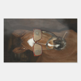 Humorische Stickers voor het roken van paarden