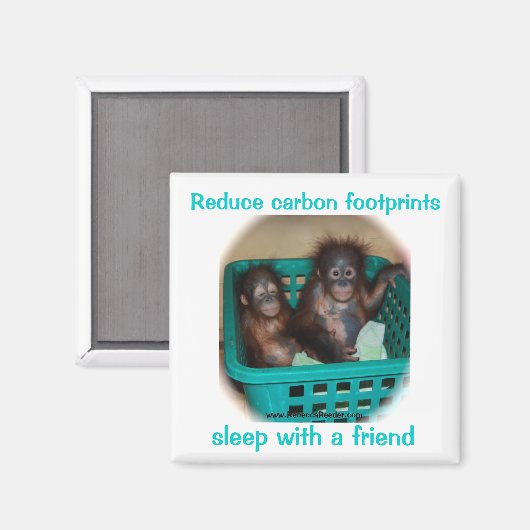 Humoristisch conservatieadvies magneet (Voorkant / Achterkant)