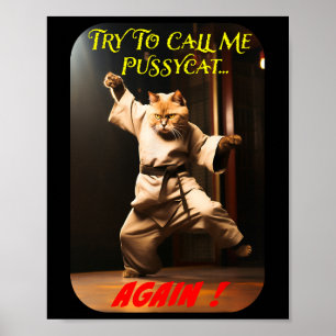 Humoristisch karatethema  poster