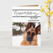 Humoristische Afstuderen Kaart met Duitse herder (Gele Bloem)