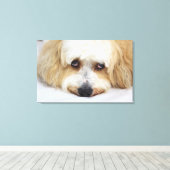 humoristische close-up bichon frise dog canvas afdruk (Insitu (Houten vloer))