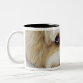 humoristische close-up bichon frise dog tweekleurige koffiemok (Links)