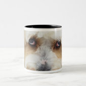 humoristische close-up bichon frise dog tweekleurige koffiemok (Center)