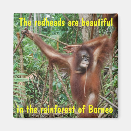 Humoristische dieren magneet (Voorkant)