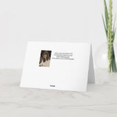 Humoristische Donkey Group Verjaardag, Van ons all Kaart (Achterkant)