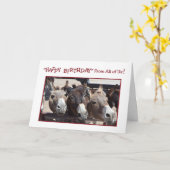 Humoristische Donkey Group Verjaardag, Van ons all Kaart (Gele Bloem)