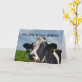 Humoristische felicitaties voor het afstuderen van kaart (Gele Bloem)