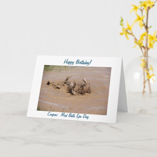 Humoristische foto van bokser die een spa modderba kaart (Gele Bloem)