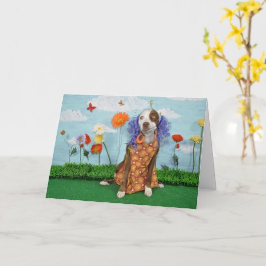 Humoristische foto van hond in kleding, verjaardag kaart (Gele Bloem)