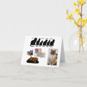 Humoristische gedachte over katten kaart (Gele Bloem)