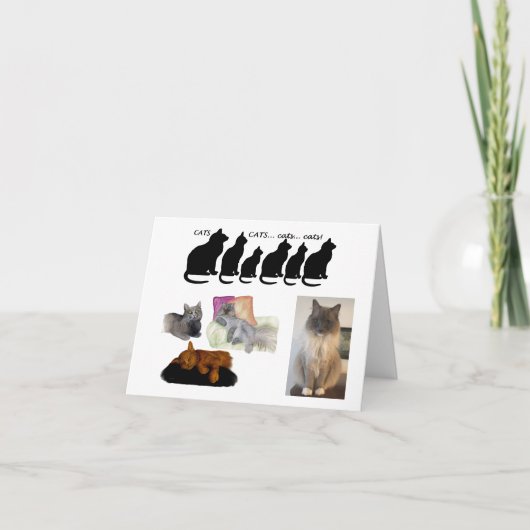 Humoristische gedachte over katten kaart (Voorkant)