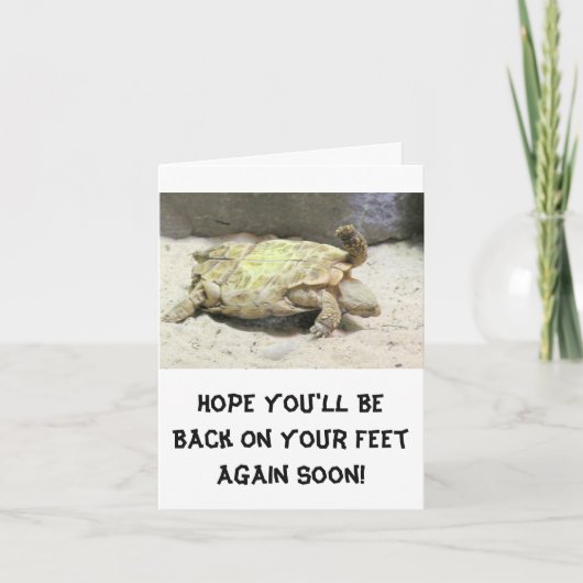 HUMORISTISCHE GET WELL NOTEER KAART / SCHILDPAD OM (Voorkant)