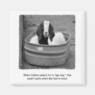 Humoristische Goat Spa Day Magnet