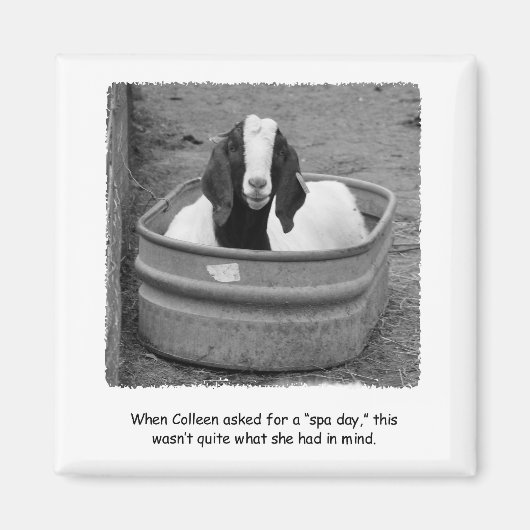 Humoristische Goat Spa Day Magnet (Voorkant)