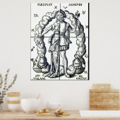 Humoristische  illustratie van sterrenbeelden poster (Keuken)