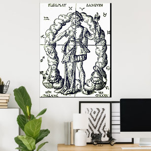 Humoristische  illustratie van sterrenbeelden poster