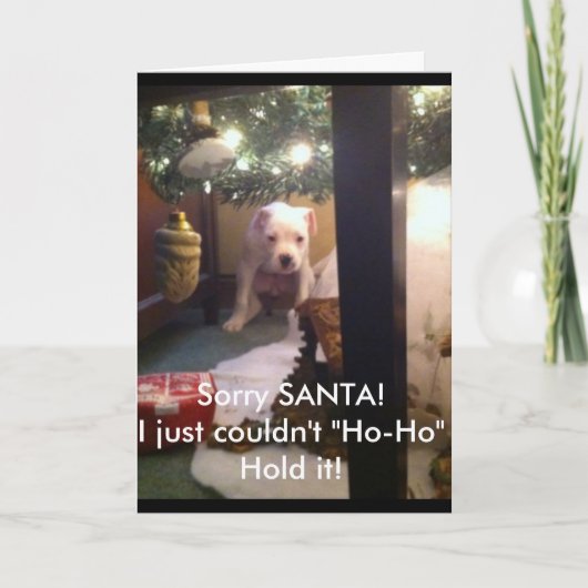 Humoristische KERSTKAART! Feestdagen Kaart (Voorkant)