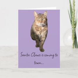 Humoristische kerstkaart met een charmante tabby k bedankkaart