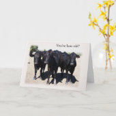Humoristische Koe "Ouder worden" Verjaardag Kaart (Gele Bloem)