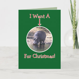 HUMORISTISCHE/NILPAARD/"MOCHT JE MIJN NAAM GETROKK FEESTDAGEN KAART