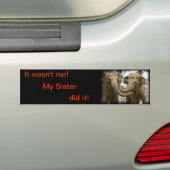humoristische olifant bumpersticker (Op auto)